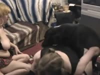 Hot animal group sex with beastiality lovers
